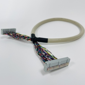 Custom Flat Cable Assembly